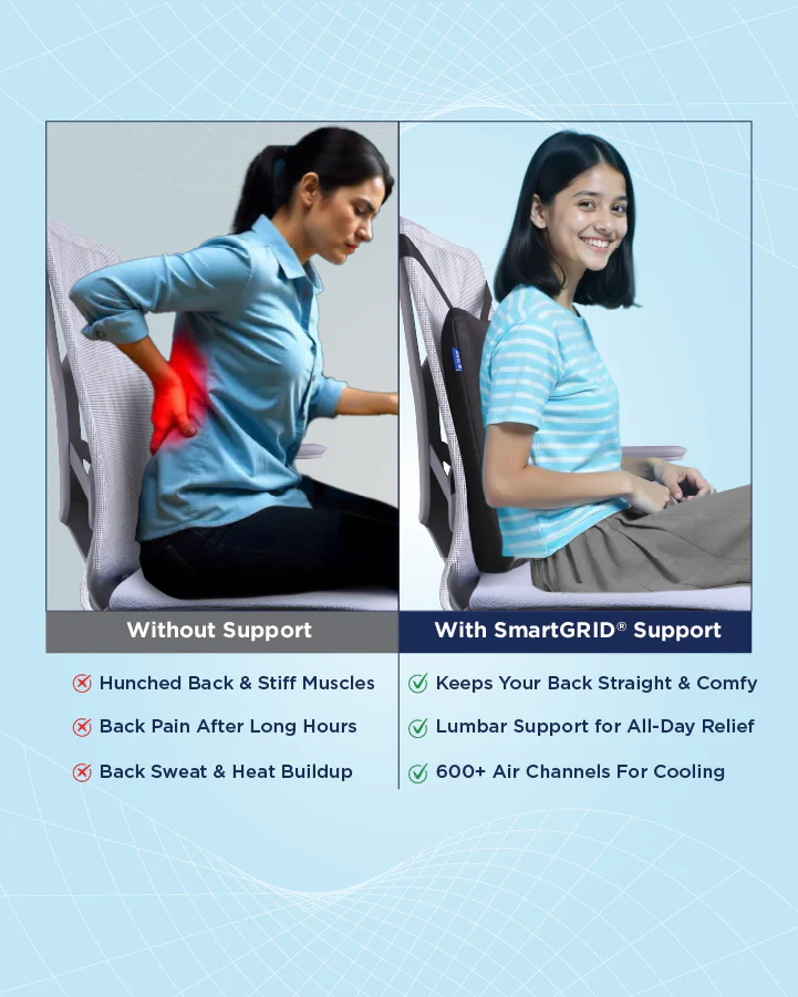 Ortho Pro Back Cushion - Image 6